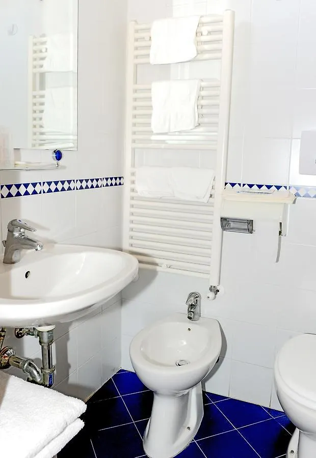 Hotel Anfora كاستيغليون ديلا بيسكايا 2*,